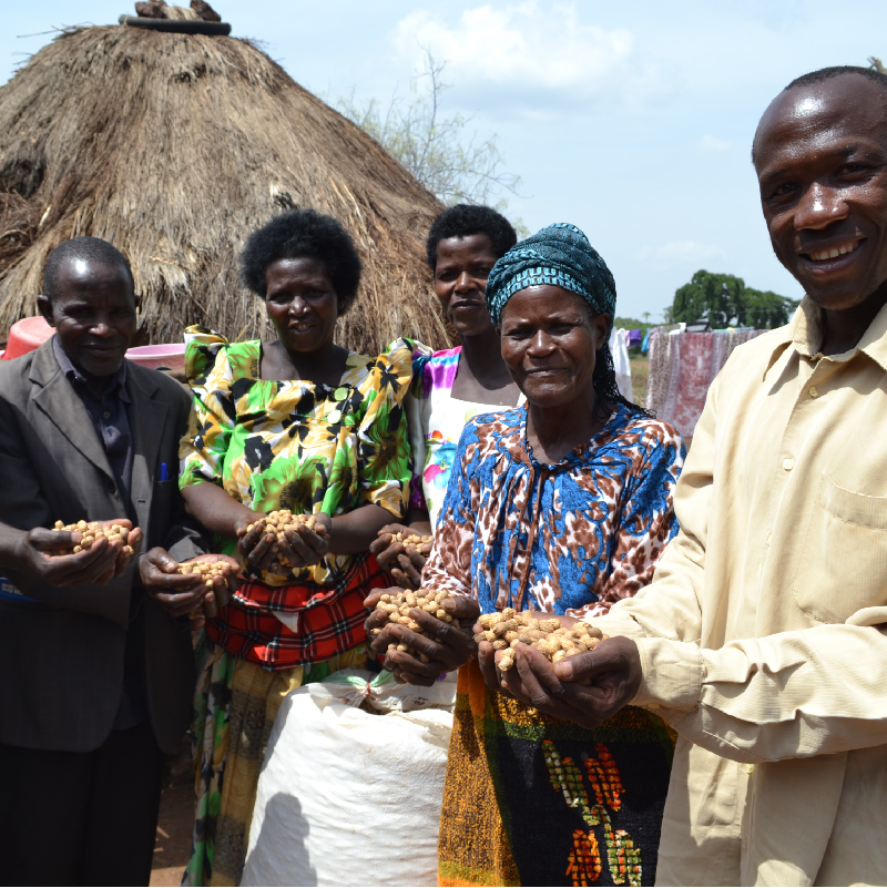 Resilient Seed System Program
