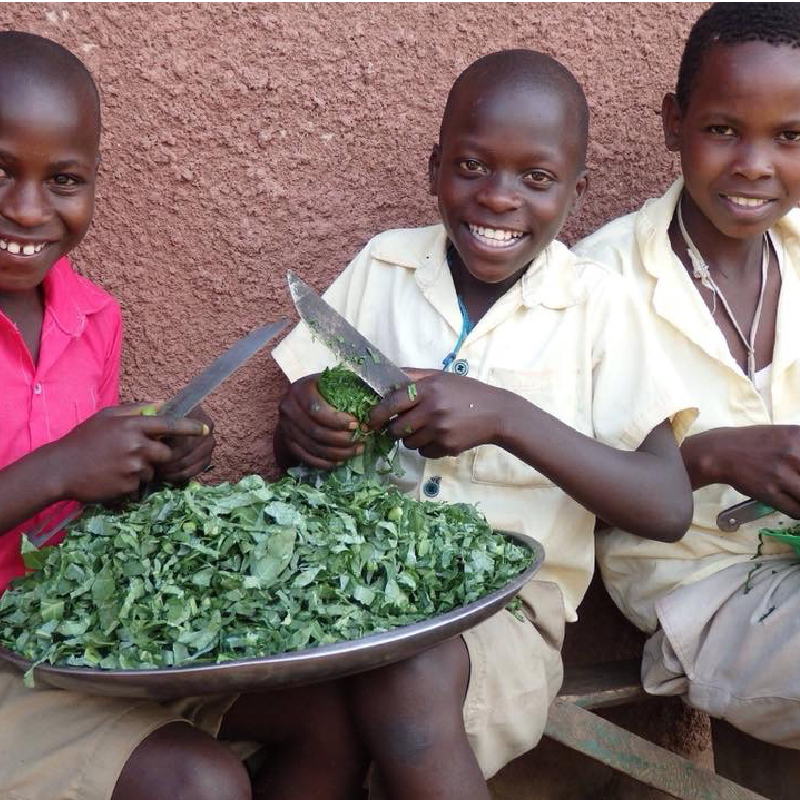  Sustainable Agri-Food System Program