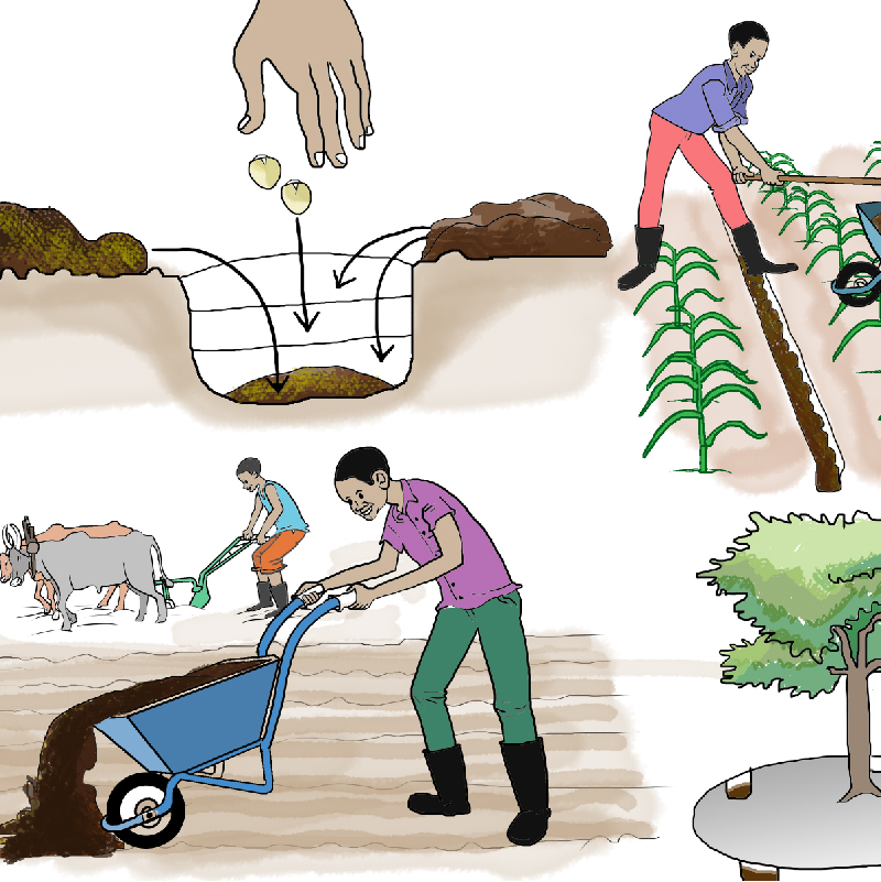 Sustainable Agri-Food System Program