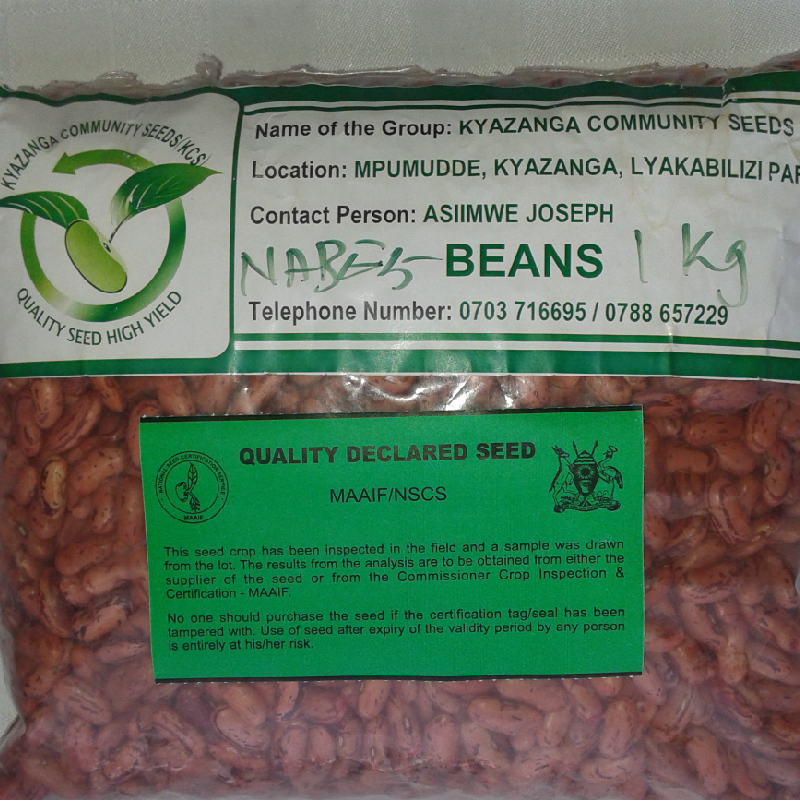 Sector Coordination and Policy Evolution Program  