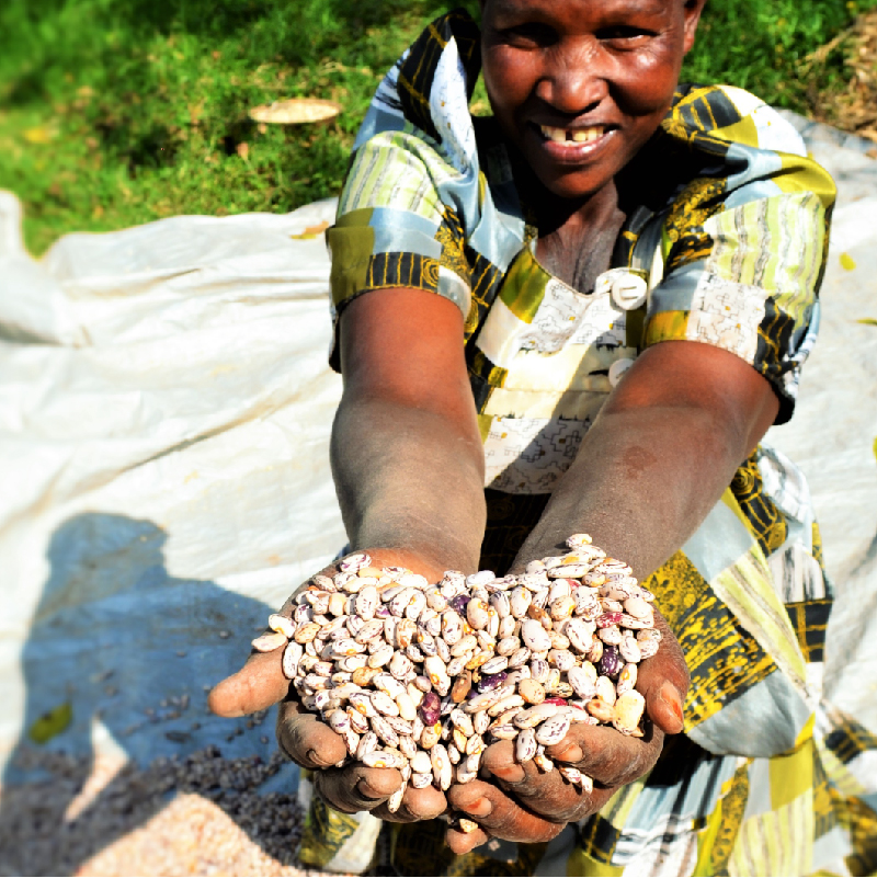  Sector Coordination and Policy Evolution Program  