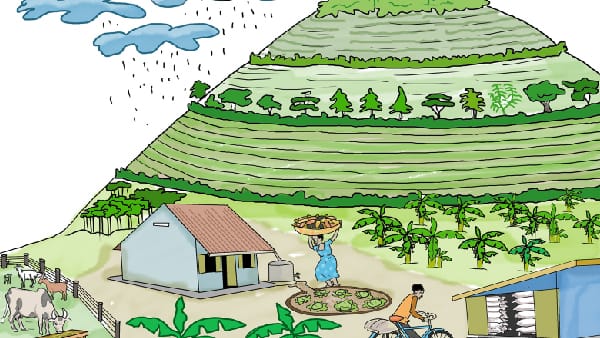 Sustainable Agri-Food System Program