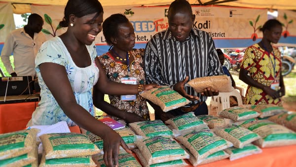 Sector Coordination and Policy Evolution Program  