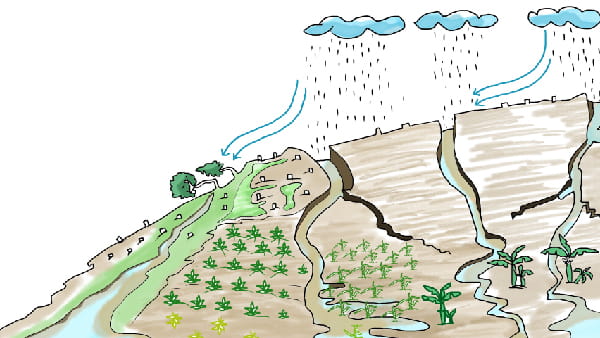 Sustainable Natural Resource Management (SDG 2, 13 & 15)